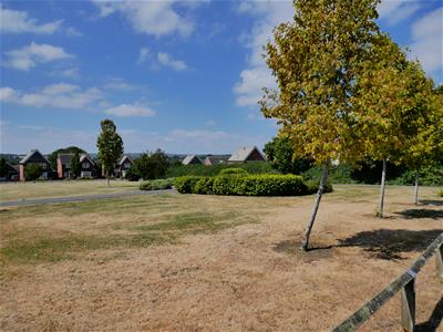 Picture 22